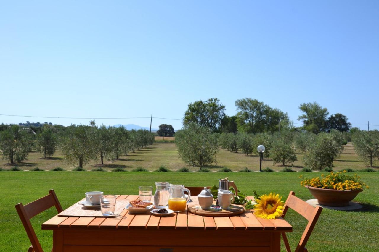 Agriturismo Il Vecchio Mandorlo กาส์ตีจลิโอเน เดลลา เปสกายา ภายนอก รูปภาพ